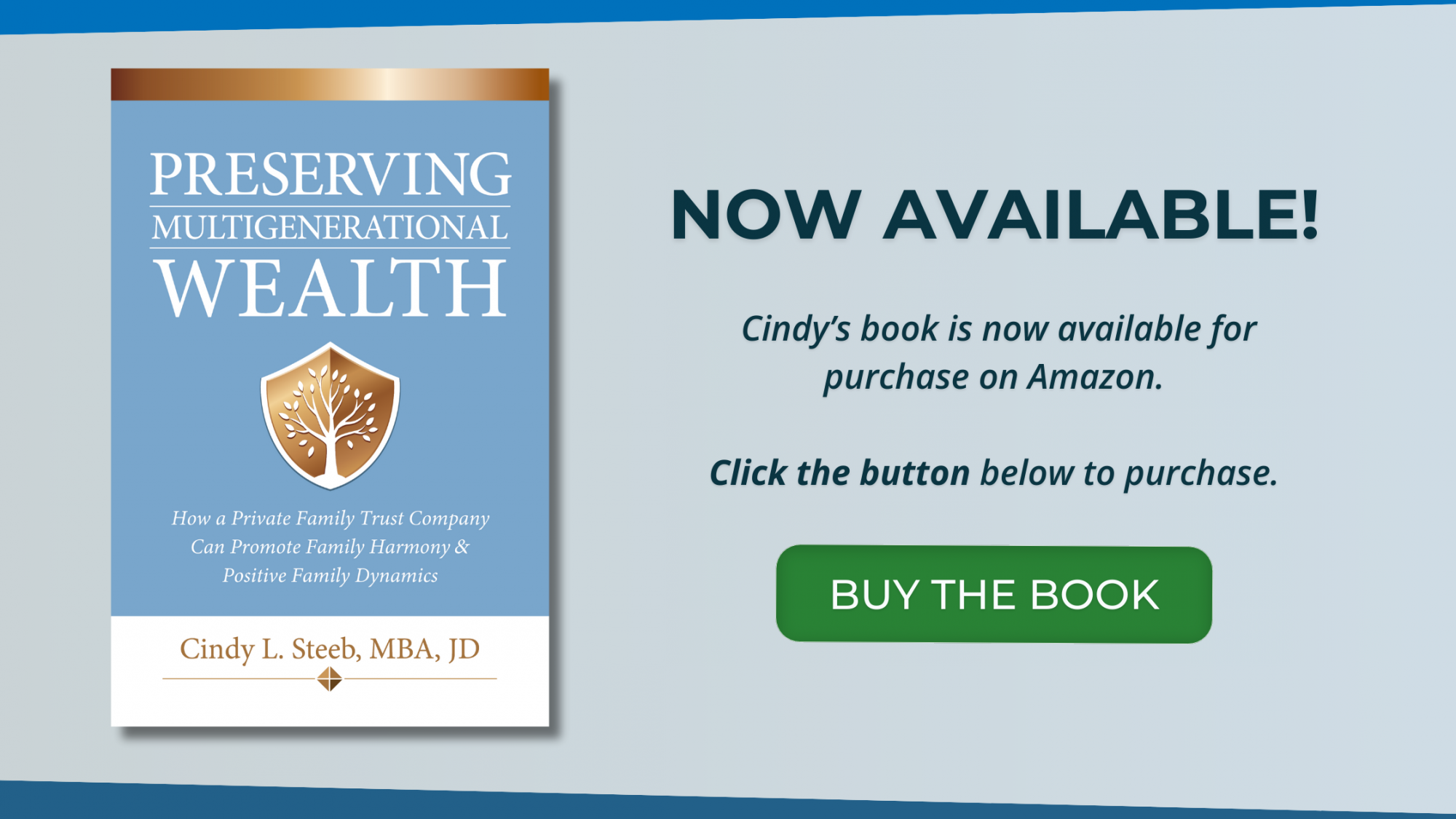 Graphic announcing that Cindy Steeb's book is available to order on Amazon.